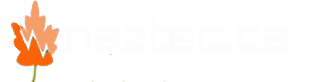 Naztec Computer Systems Inc.